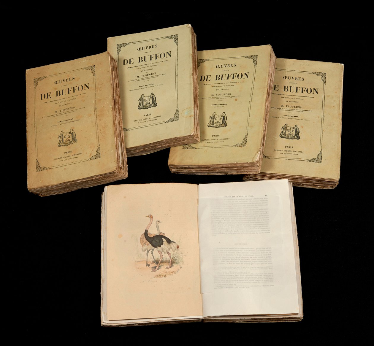 Le opere complete di Buffon (1707 - 1788), collezione privata da Anonymous Anonymous