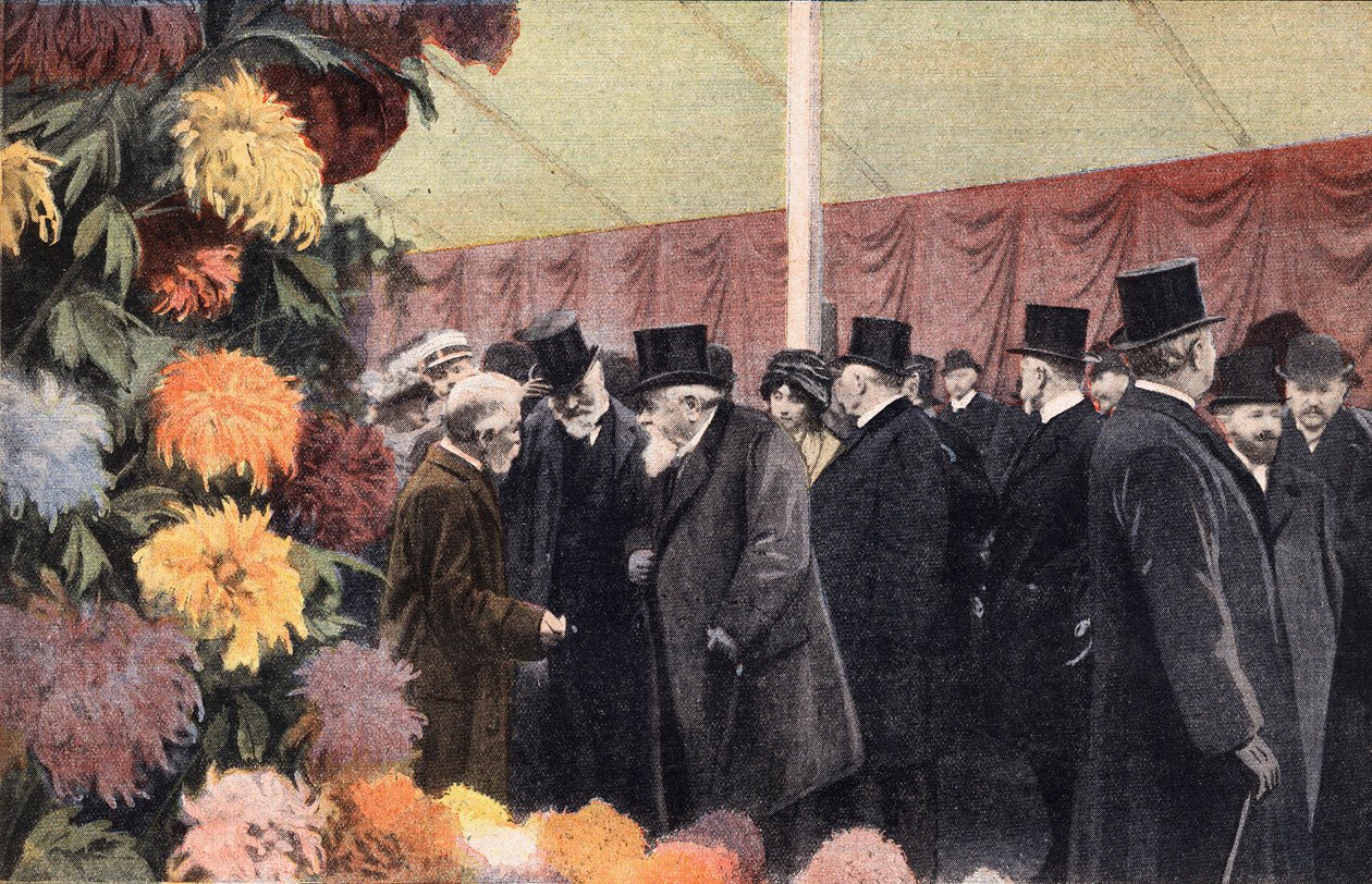 La festa del crisantemo: esposizione ufficiale del crisantemo. Incisione. Uno dei giornali "Le petit parisien" del 20/11/1910. Collezione privata. da Anonymous Anonymous