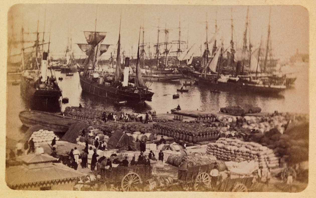 La città di Marsiglia e i suoi dintorni circa 1885-1890: Bassin de la Joliette, carico di merci da Anonymous Anonymous