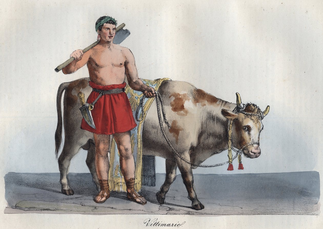Victimarii - victimarius (commerciante di animali destinati al sacrificio) (Colui che apprendeva il sacrificio e colpiva le vittime) incisione da "Usi e Costumi di Tutti i Popoli dell