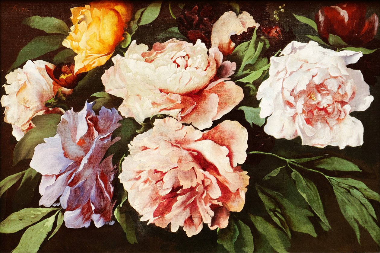 Peonie da Anselm Feuerbach