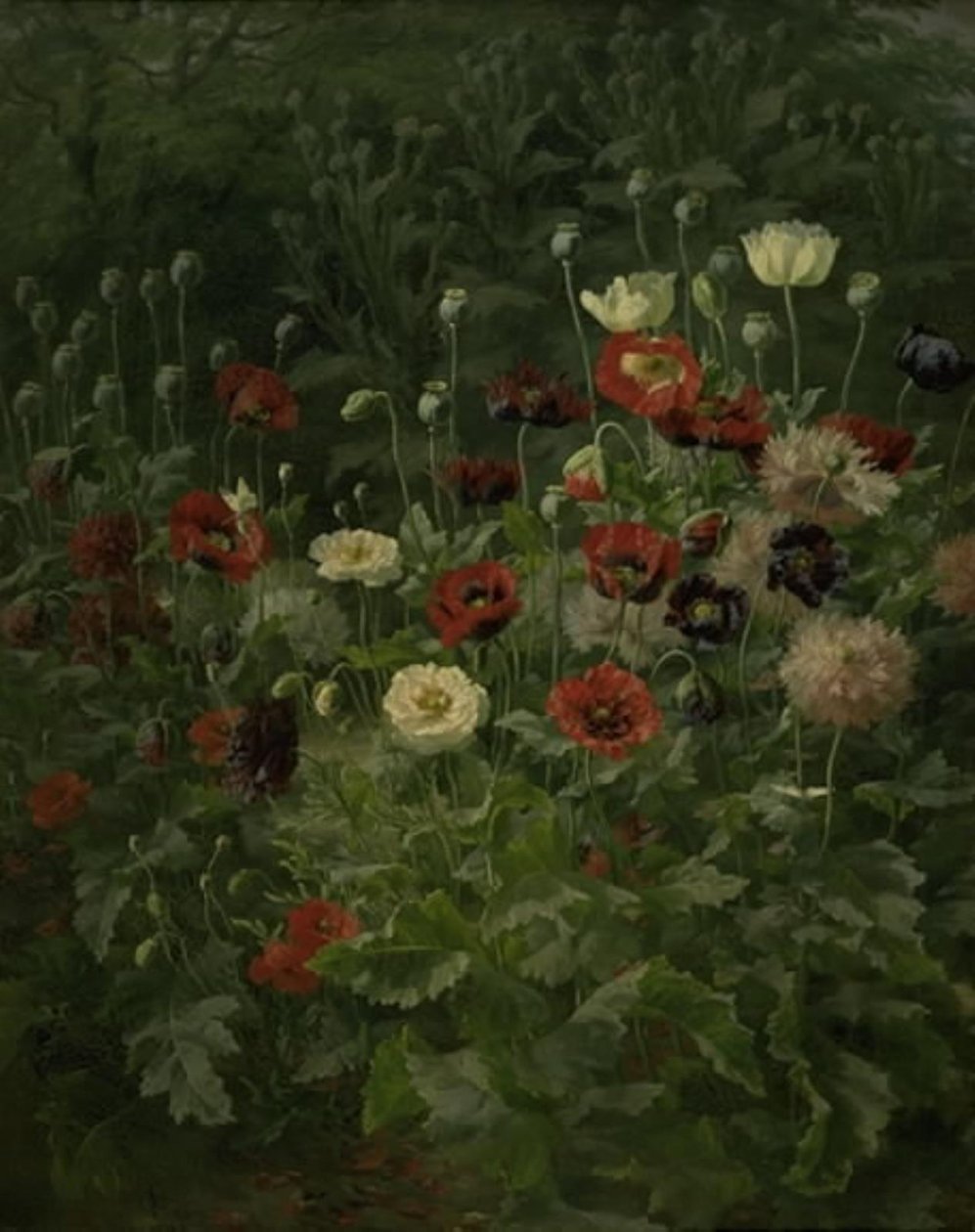 Papaveri da Anthonie Christensen
