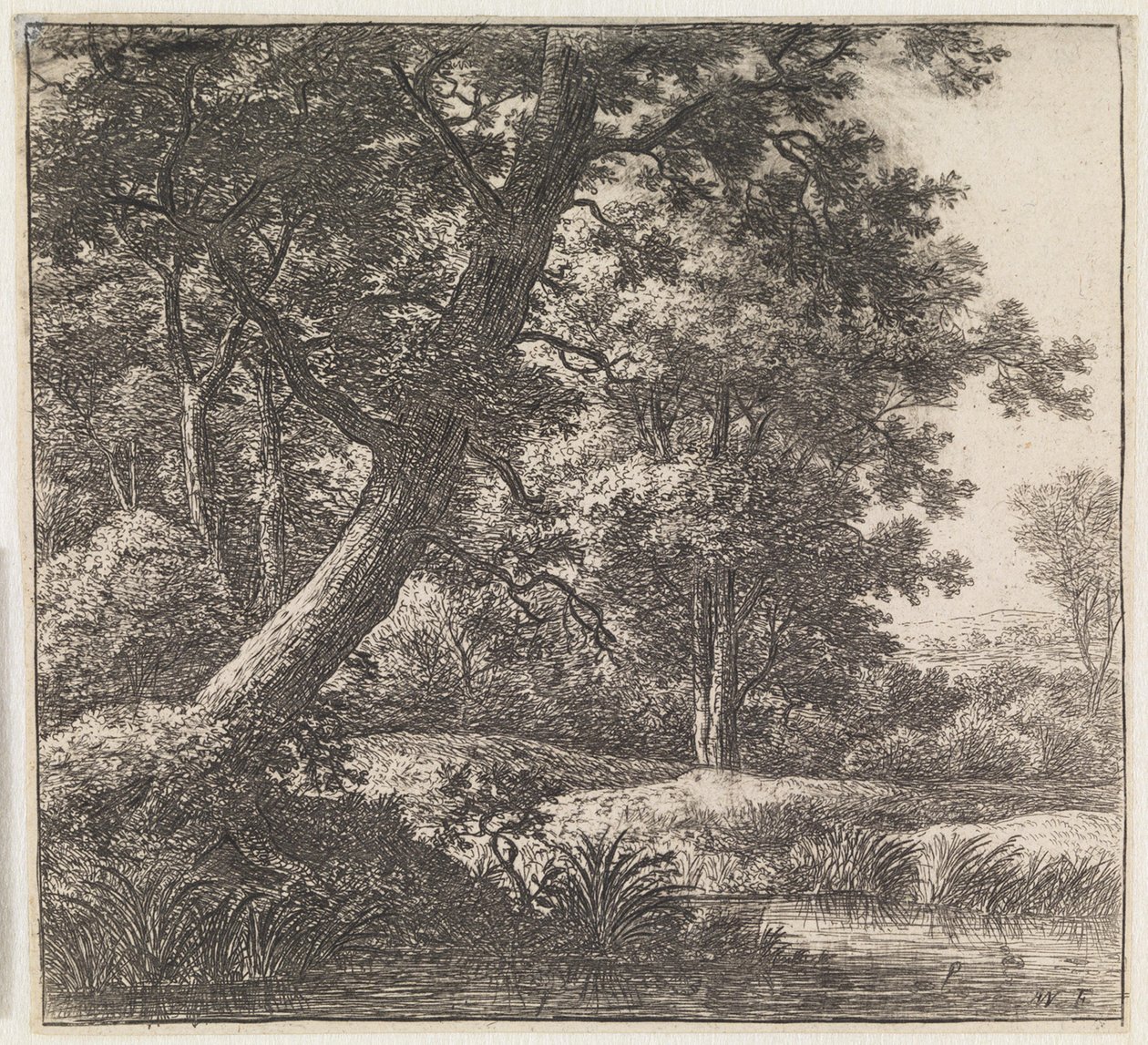 Albero cresciuto storto da Anthonie Waterloo