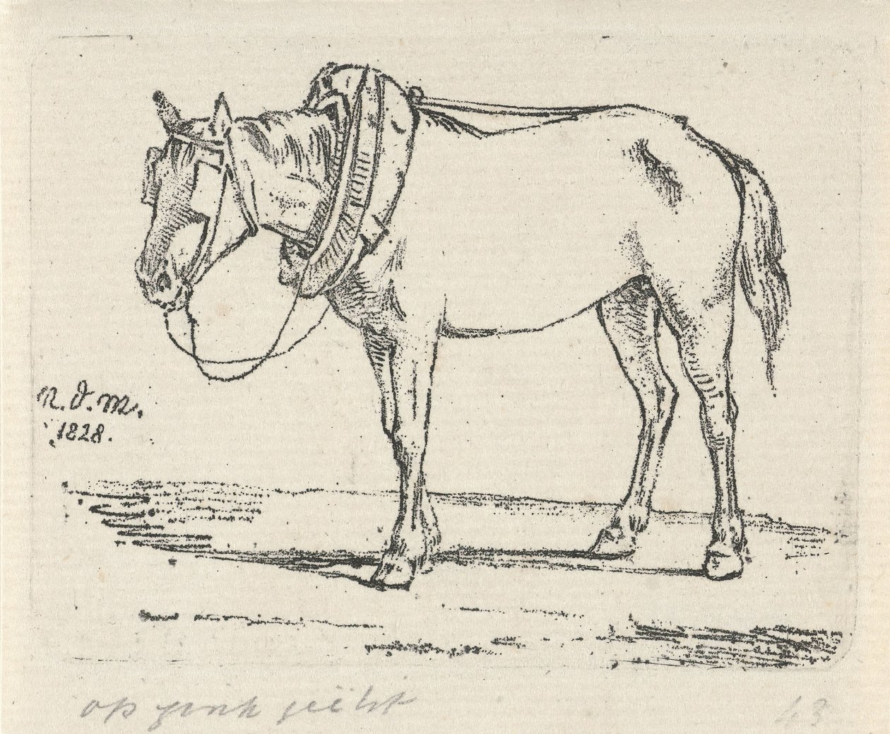 Cavallo bardato da Anthonie Willem Hendrik Nolthenius de Man