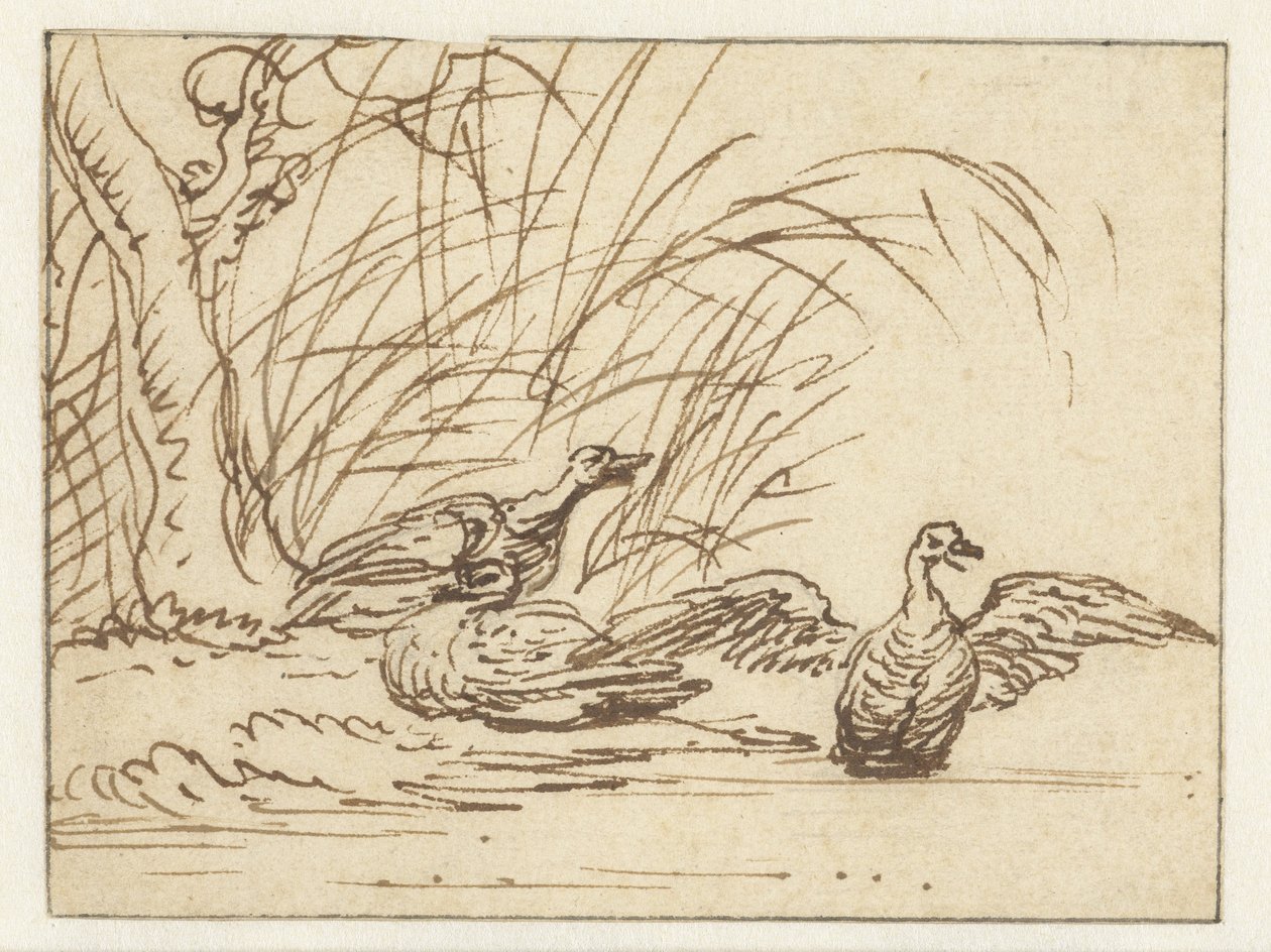 Tre anatre sulla riva da Anthonie van Borssom