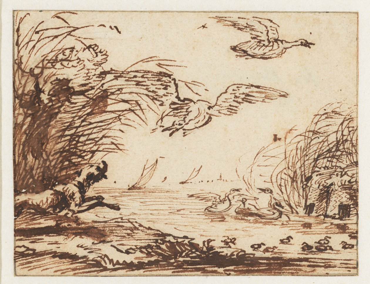 Cane a caccia di anatre da Anthonie van Borssom