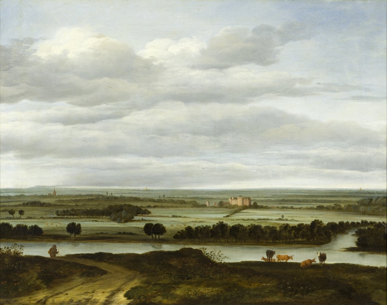 Paesaggio panoramico presso Rhenen con l