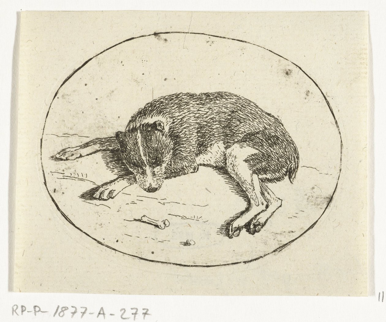 Cane sdraiato da Anthonie van den Bos