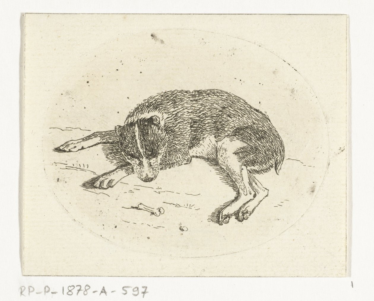 Cane sdraiato da Anthonie van den Bos