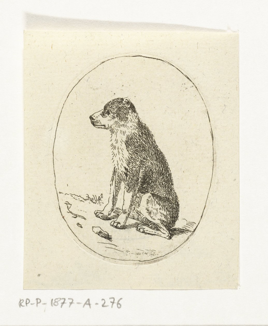 Cane seduto da Anthonie van den Bos