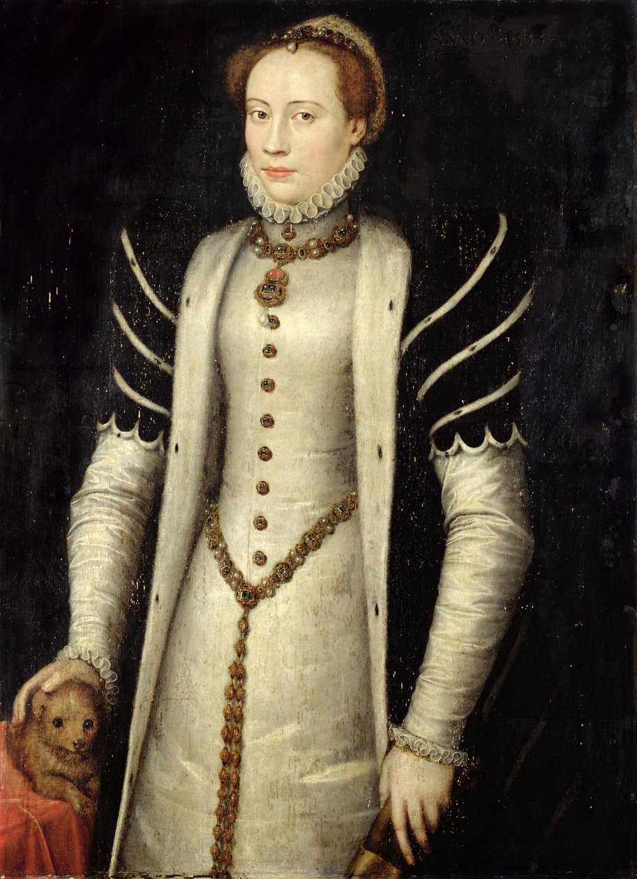 Ritratto di una nobildonna con un cucciolo da Anthonis Mor