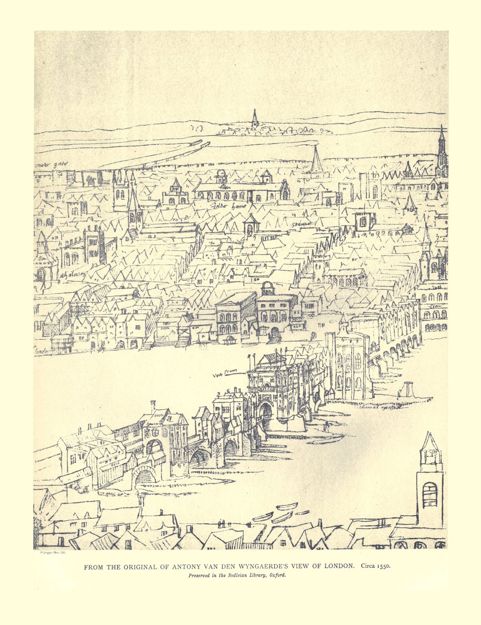 Vista di Londra di Van Den Wyngaerde da Anthonis van den Wyngaerde