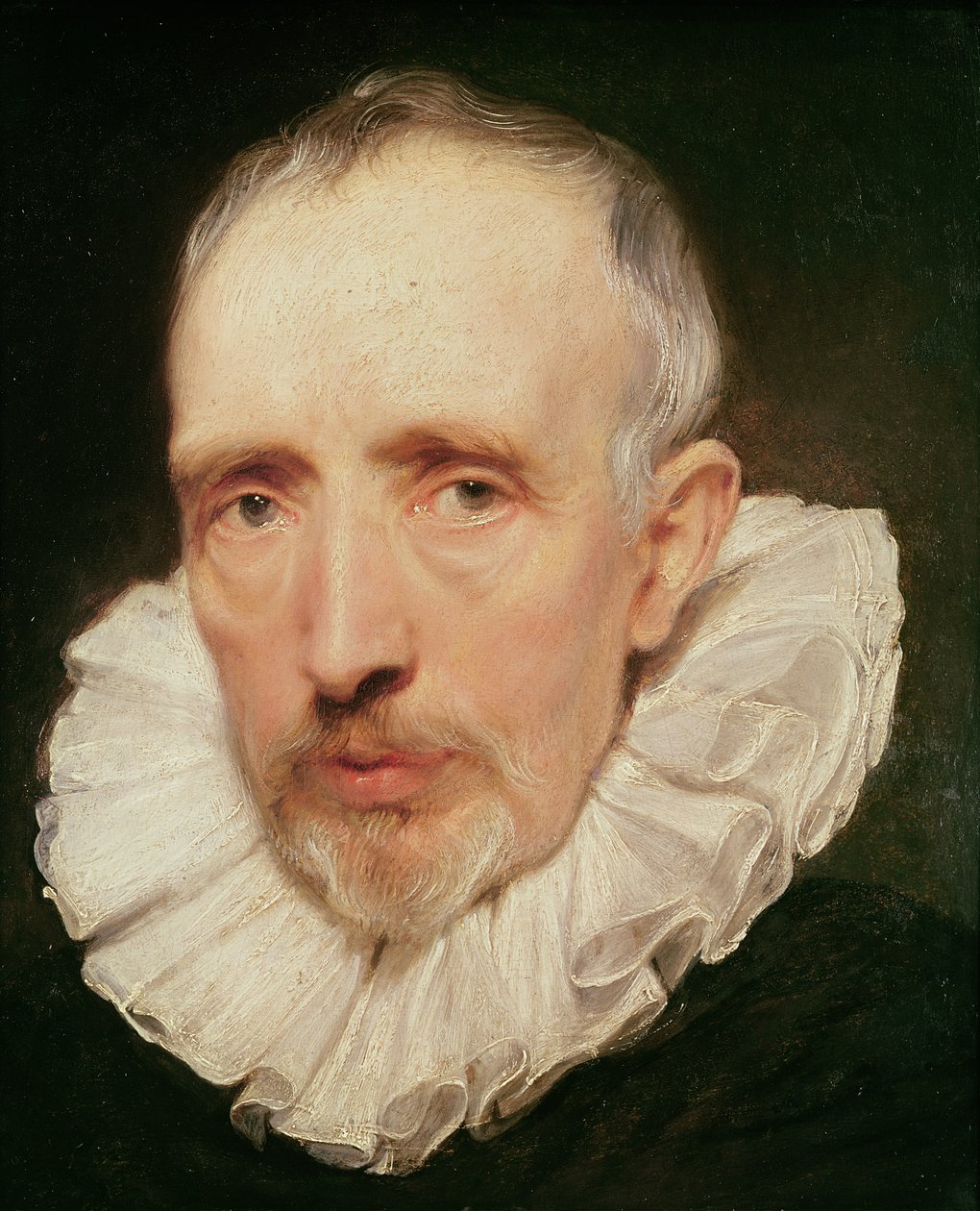 Ritratto di Cornelis van der Geest da Anthony van Dyck