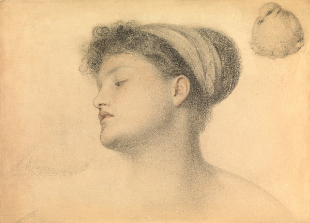 Studio per Ragazza con colombe da Anthony Frederick Augustus Sandys
