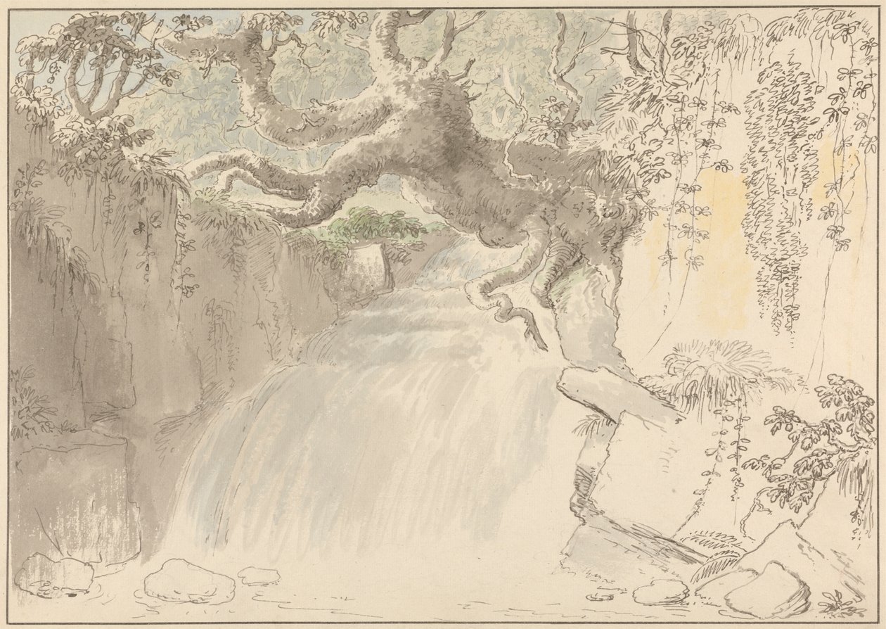 Cascata e Tronco d