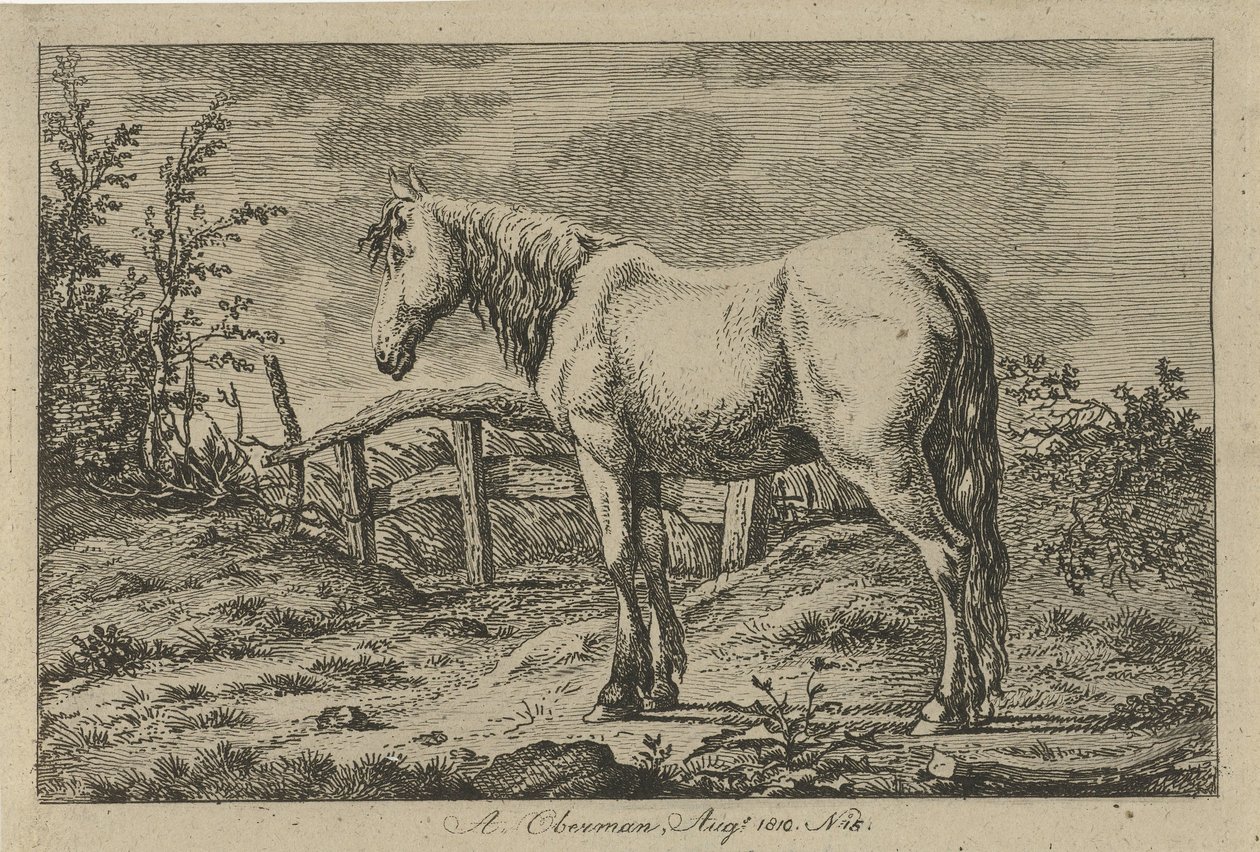 Cavallo in piedi da Anthony Oberman