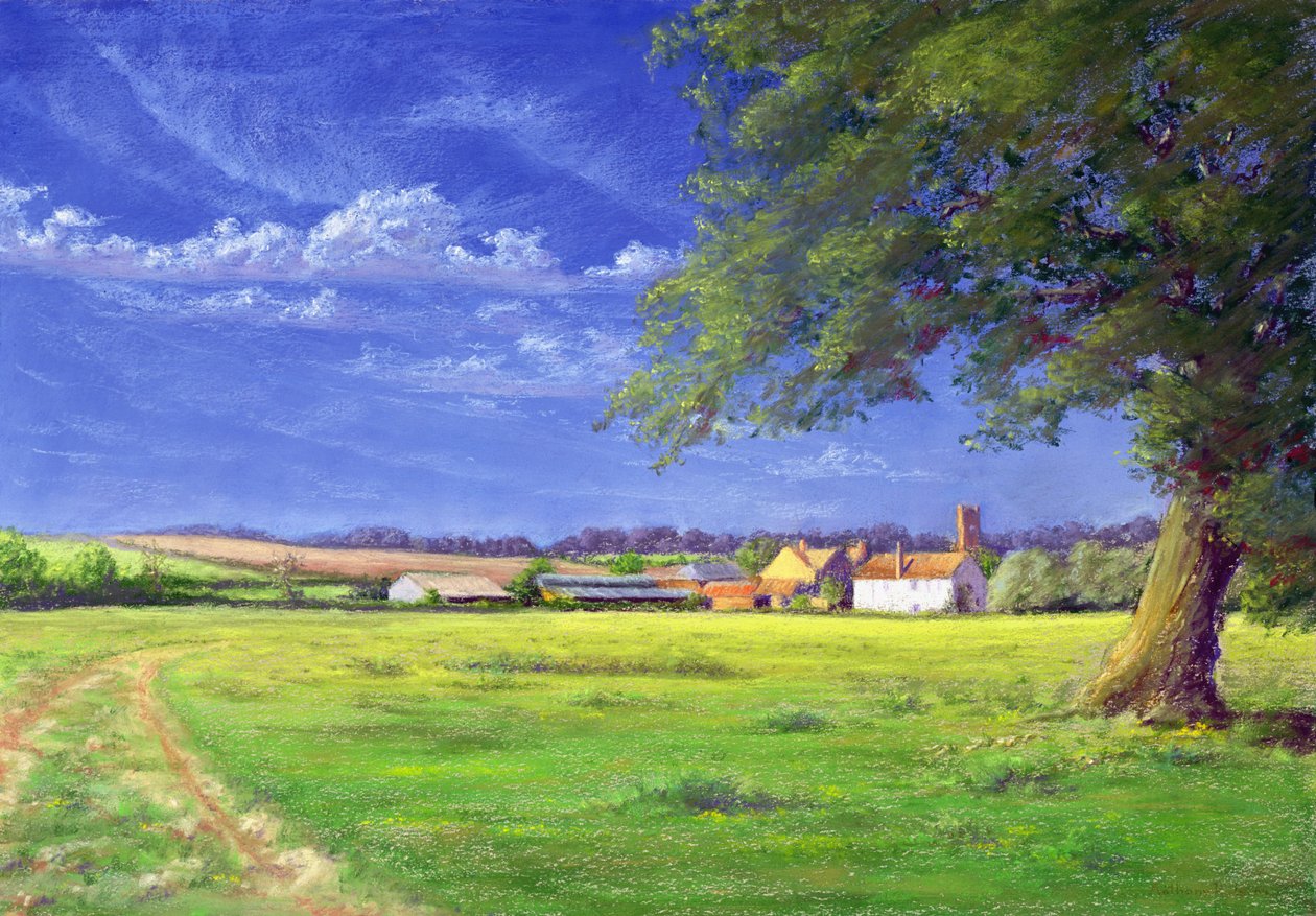 Campo di casa da Anthony Rule