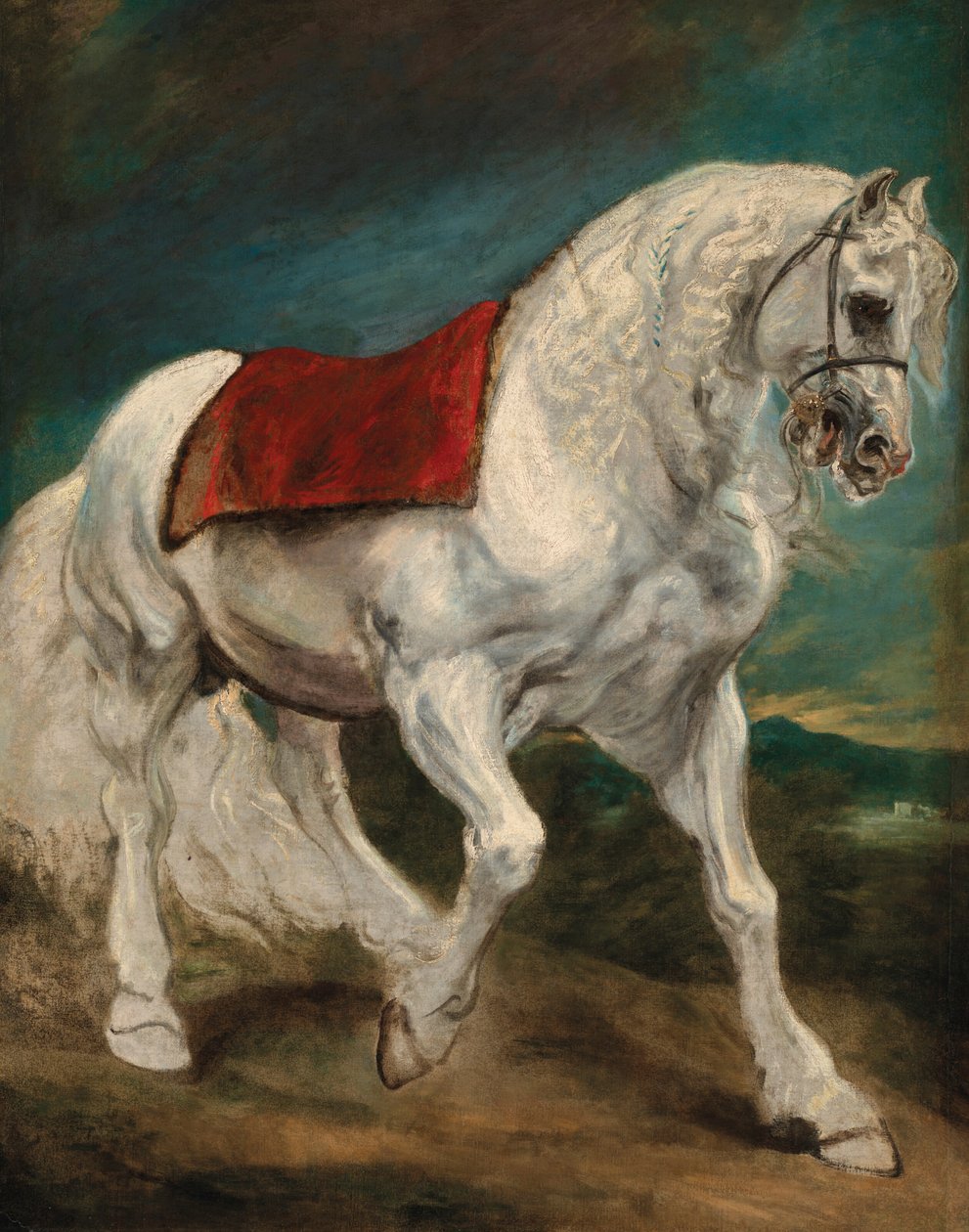 Un cavallo andaluso da Anthony van Dyck