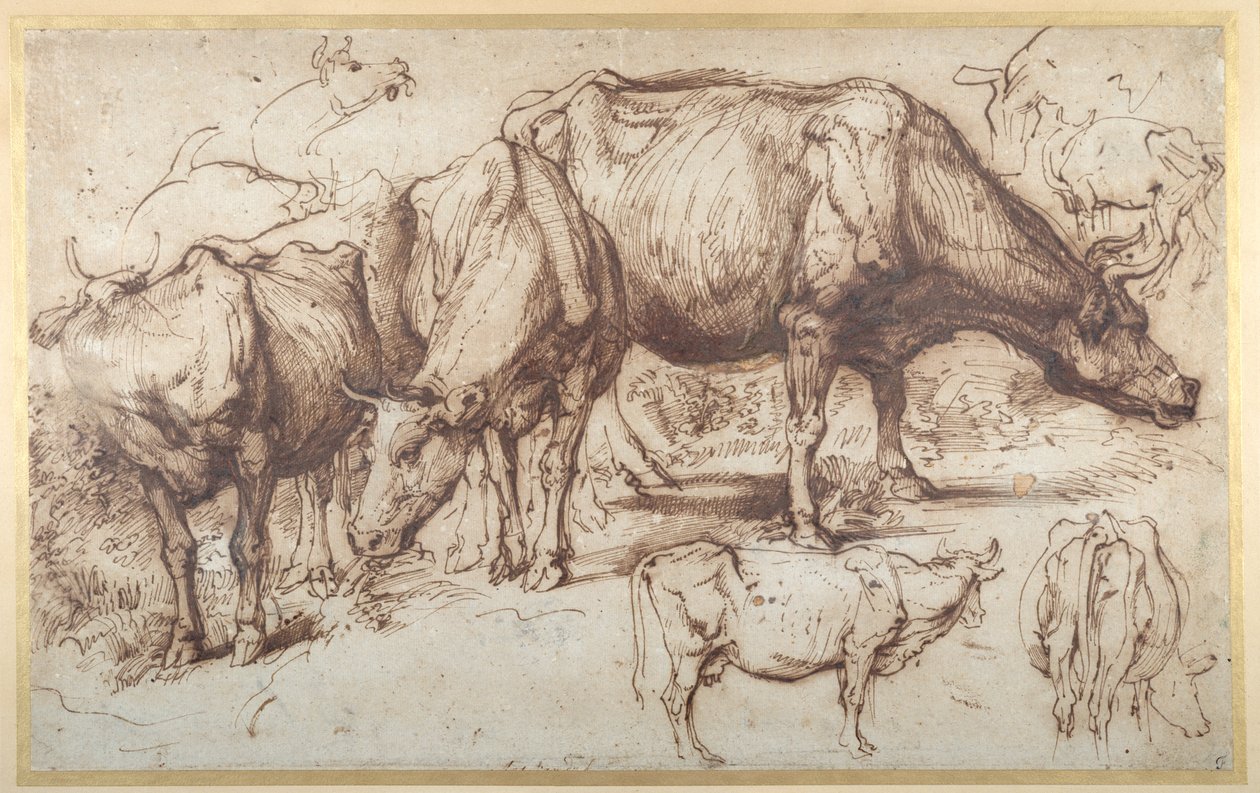 Bestiame al pascolo, c.1618-20 da Anthony van Dyck