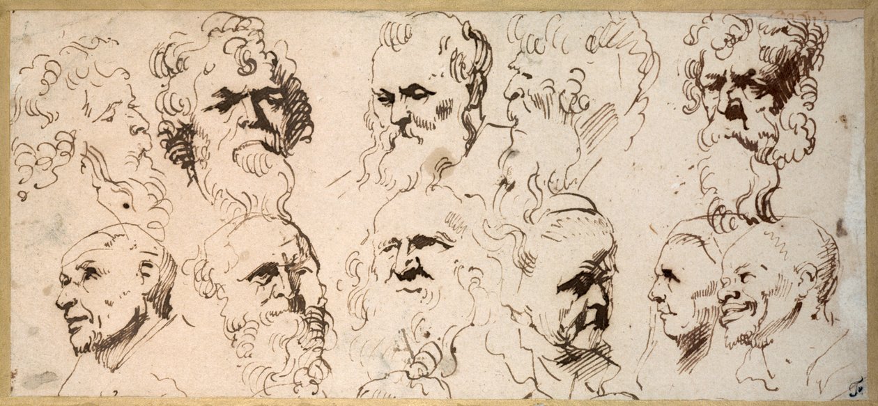 Undici studi di teste da Anthony van Dyck