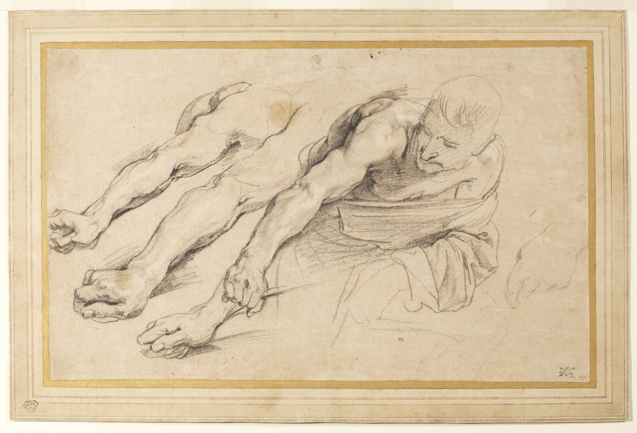 Figura di un uomo che si piega in avanti con il braccio destro teso; tre studi del braccio destro e uno della mano sinistra per la stessa figura (gesso su carta) da Anthony van Dyck