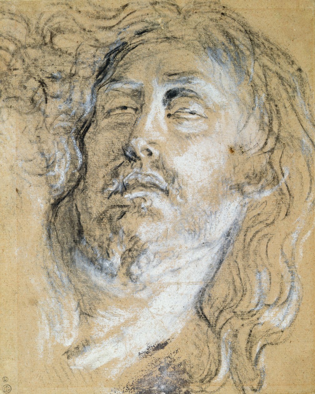 Testa del Cristo morto da Anthony van Dyck
