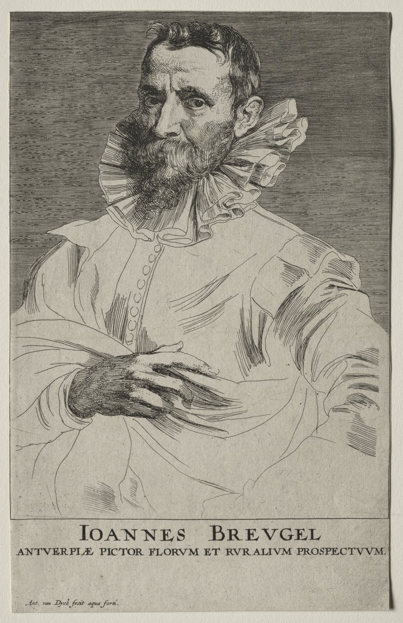 Ritratto di Jan Brueghel da Anthony van Dyck
