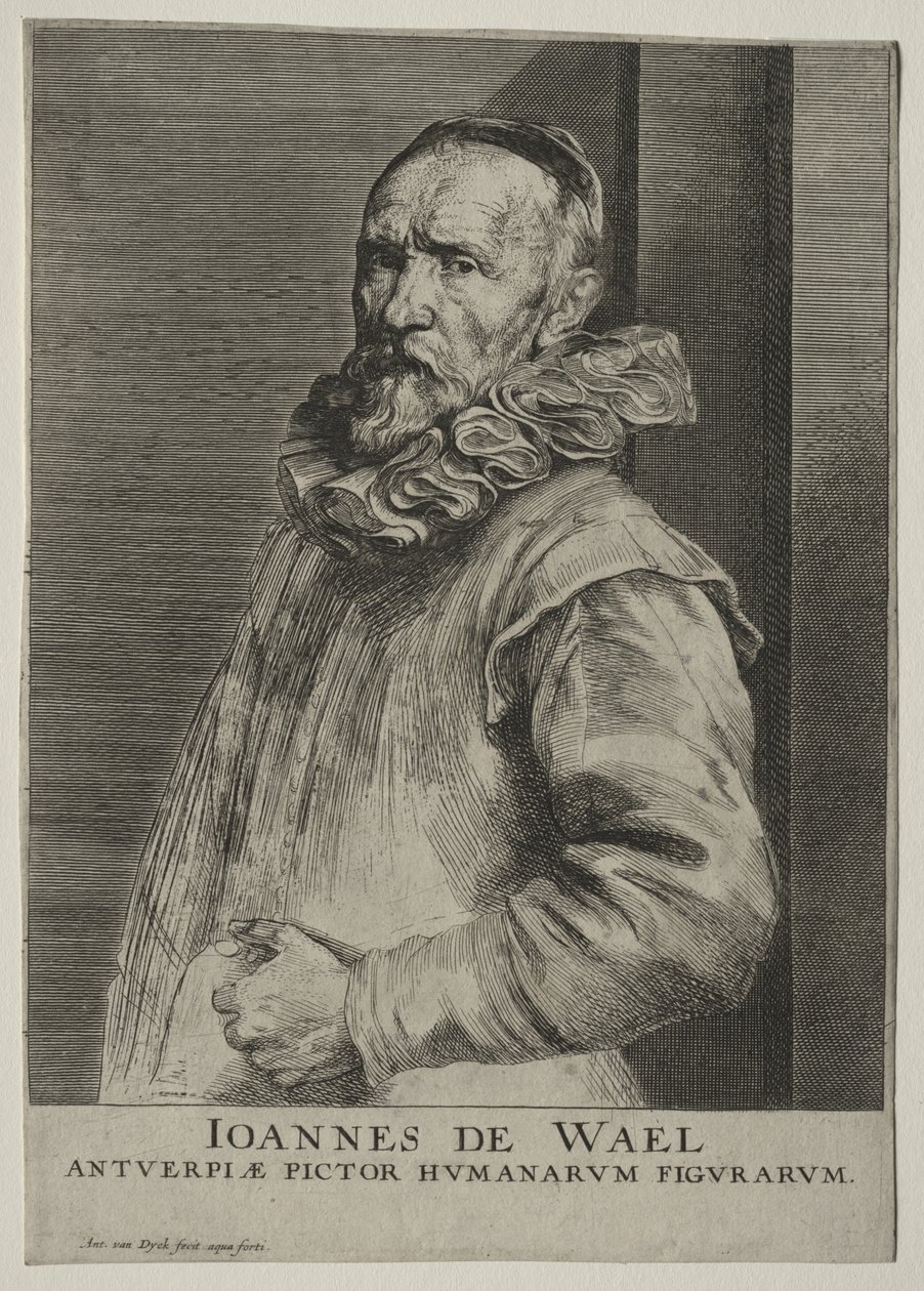 Ritratto di Jan de Wael Nevers da Anthony van Dyck