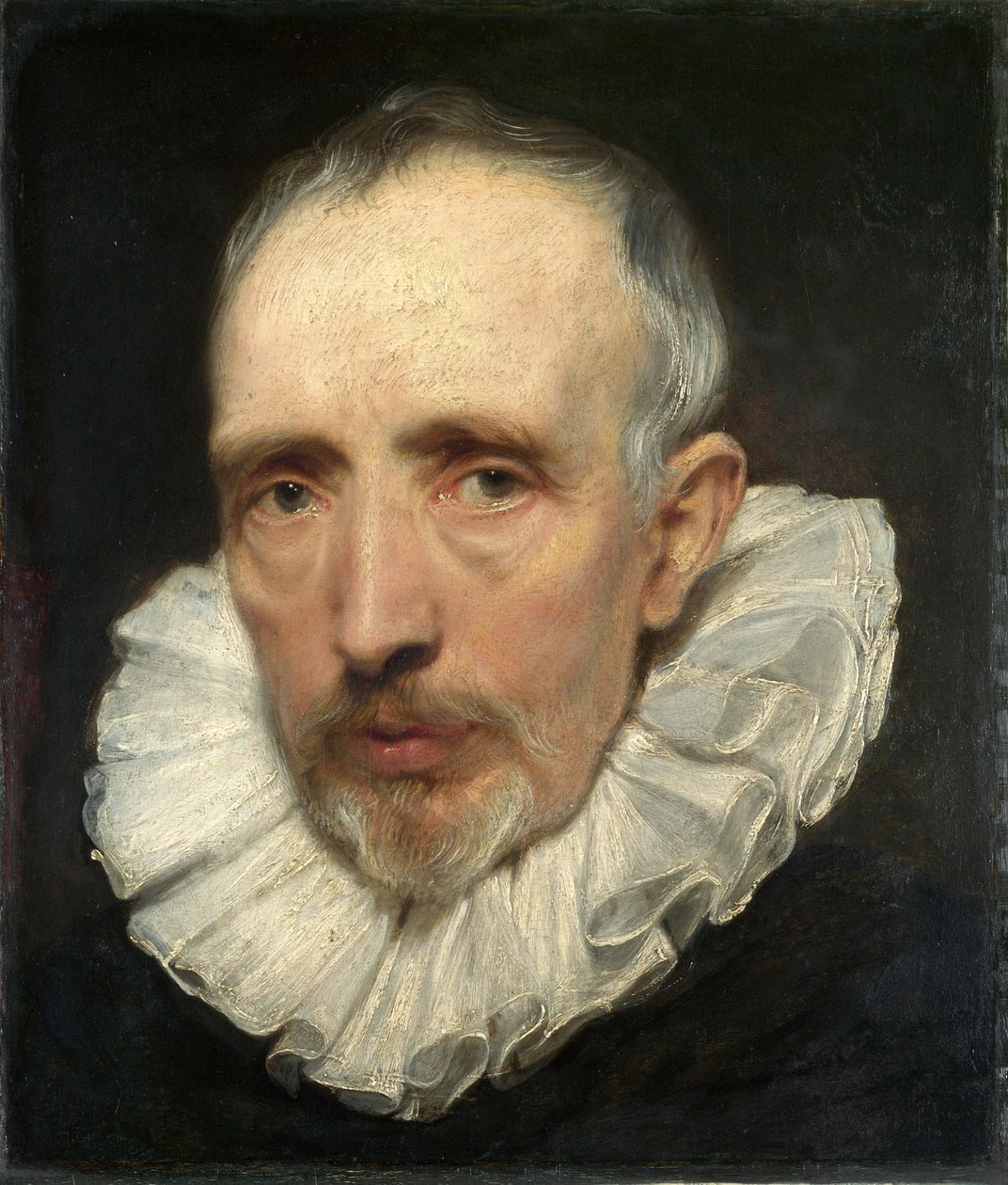 Ritratto di Cornelis van der Geest da Anthony van Dyck