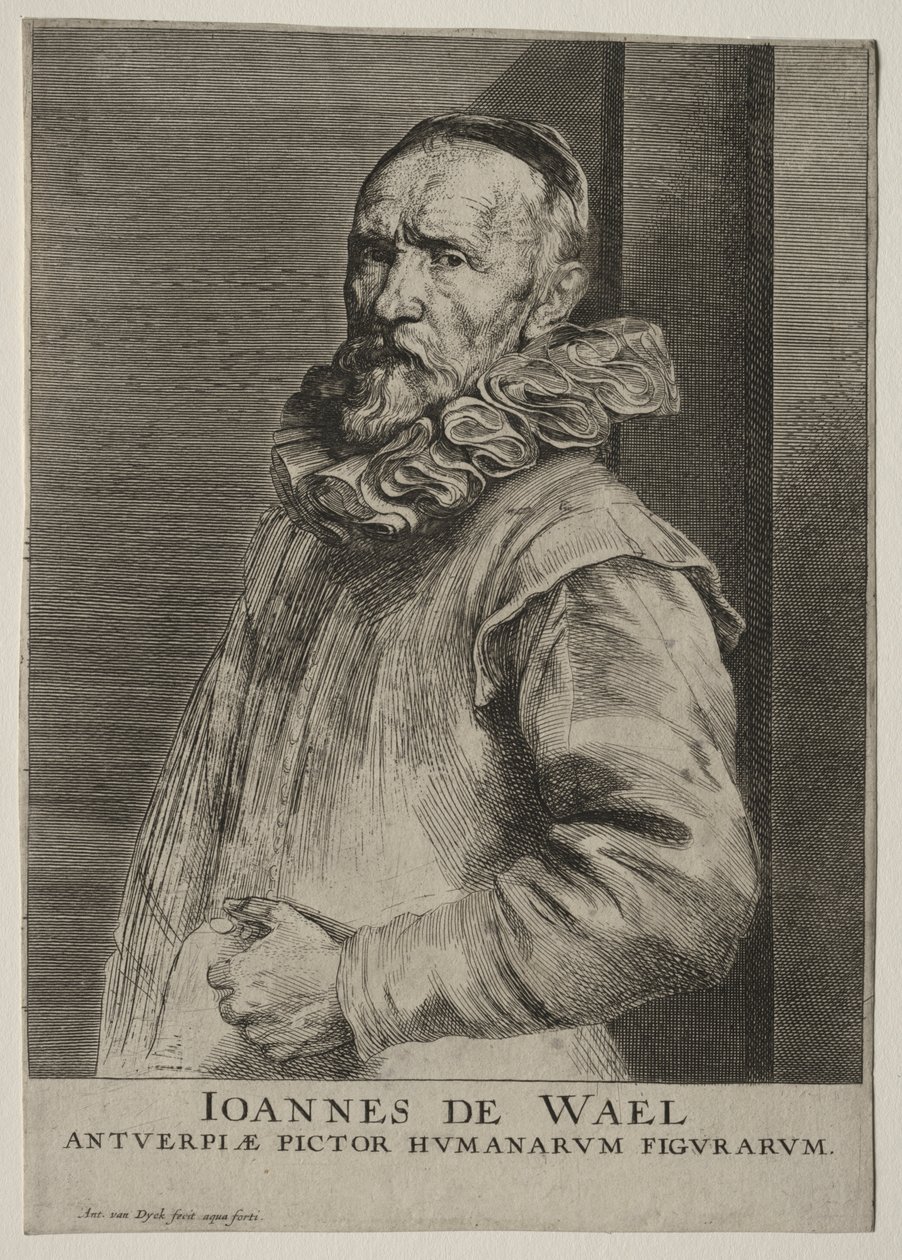 Ritratto di Jan de Wael Nevers da Anthony van Dyck