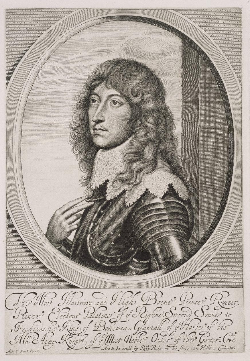 Ritratto del Principe Rupert (1619-82) Conte Palatino del Reno e Duca di Baviera, inciso da William Faithorne (1616-91) da Anthony van Dyck