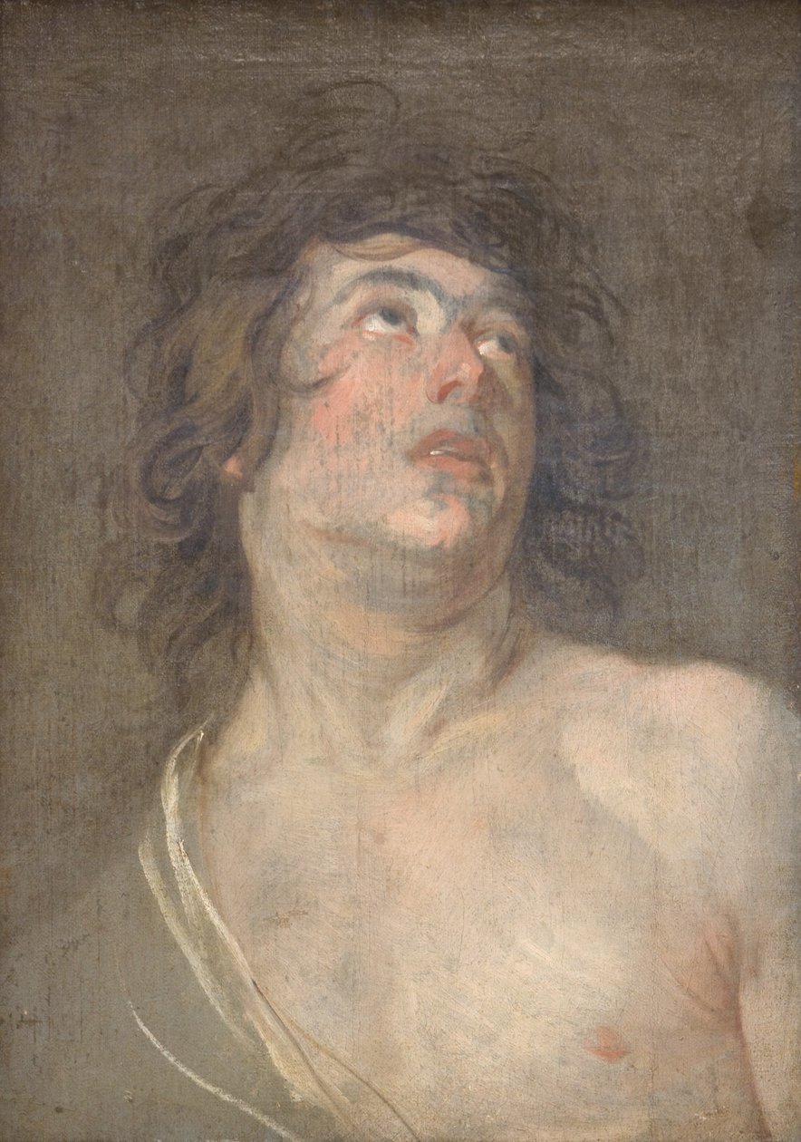 Studio della Testa di un Giovane che Guarda in Alto. San Sebastiano da Anthony van Dyck