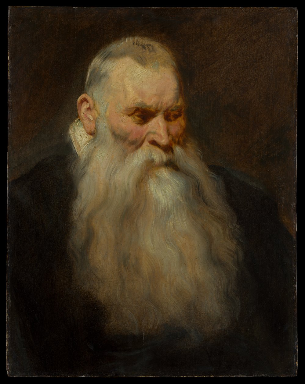 Studio di testa di un vecchio con barba bianca da Anthony van Dyck