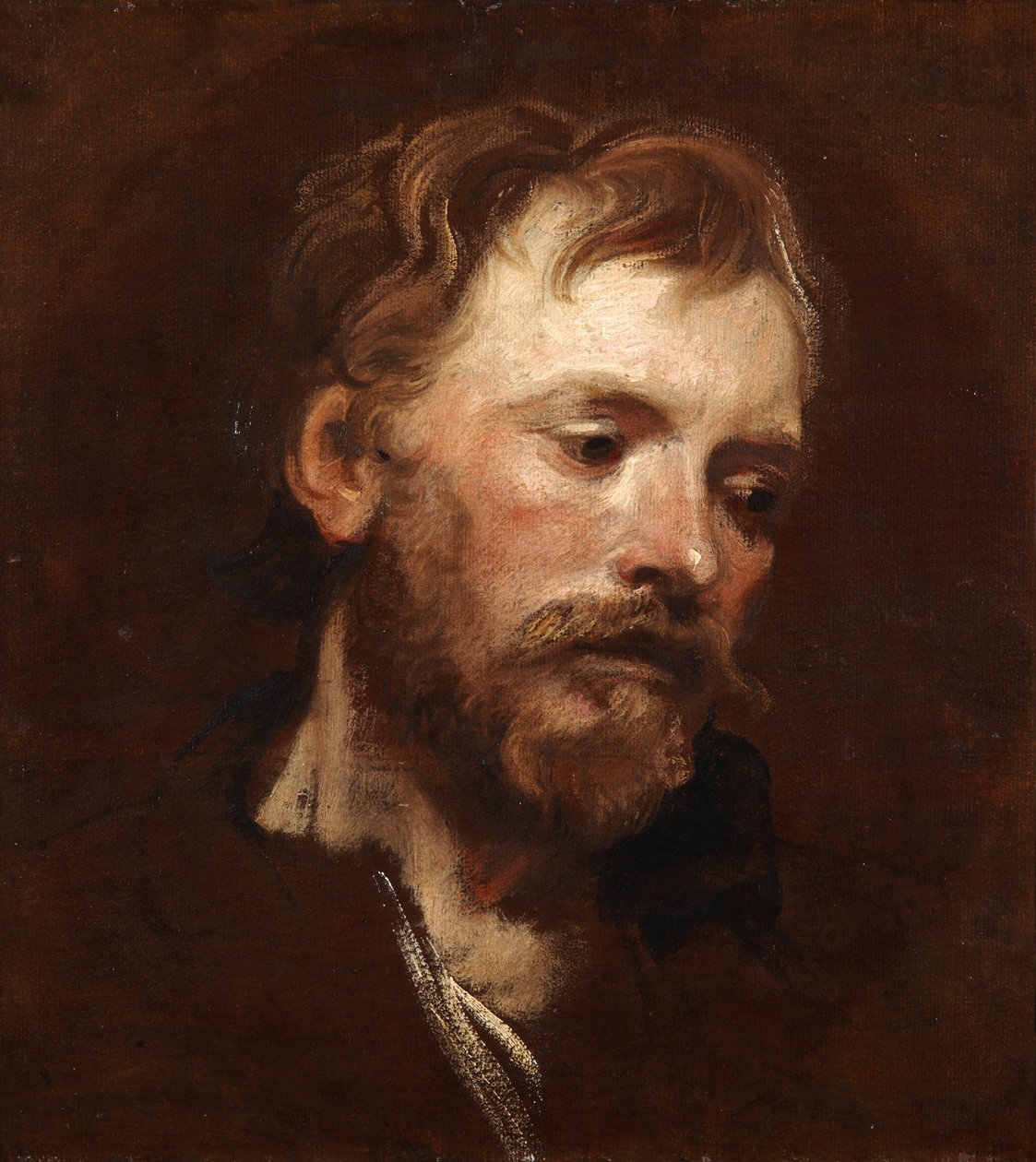 Studio di un giovane uomo barbuto da Anthony van Dyck