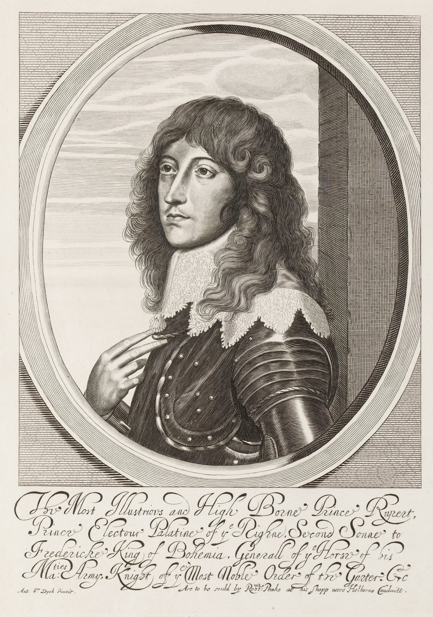 ?Il Più Illustre e Alto Principe Rupert?, circa 1640 da Anthony van Dyck