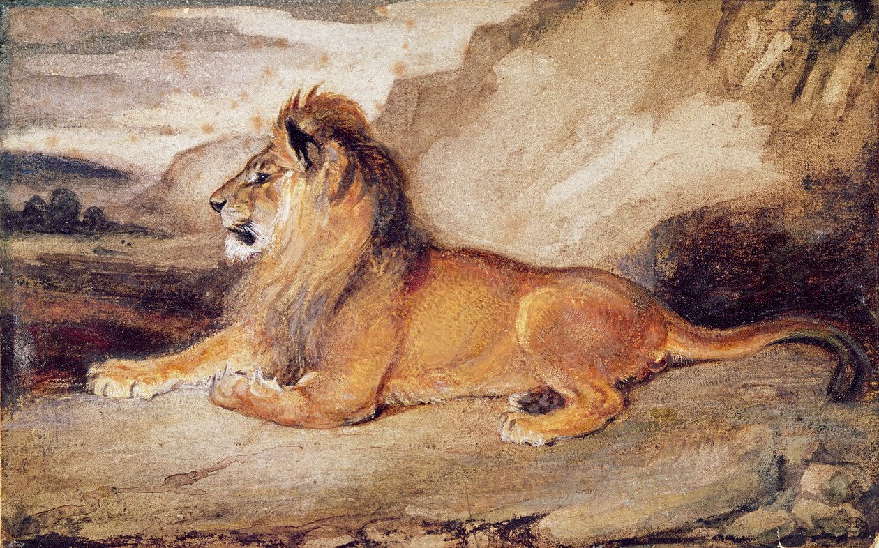Leone a riposo da Antoine Louis Barye
