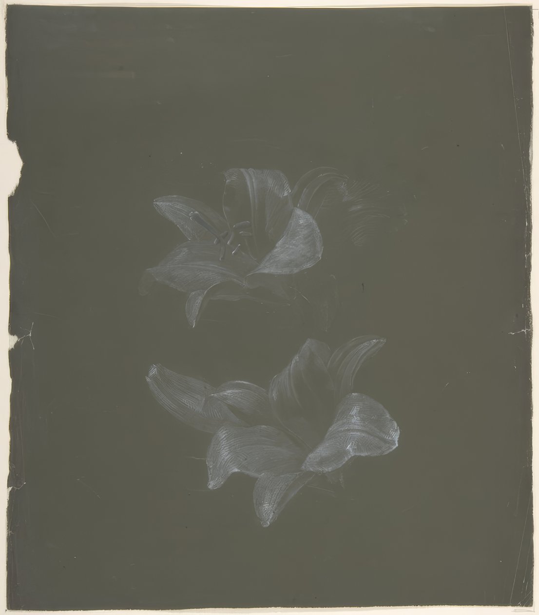 Design floreale da Antoine Berjon