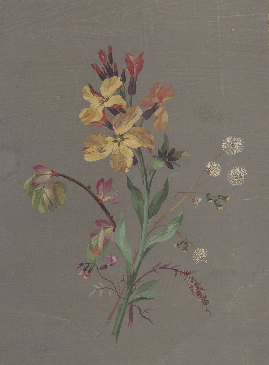 Disegno floreale da Antoine Berjon