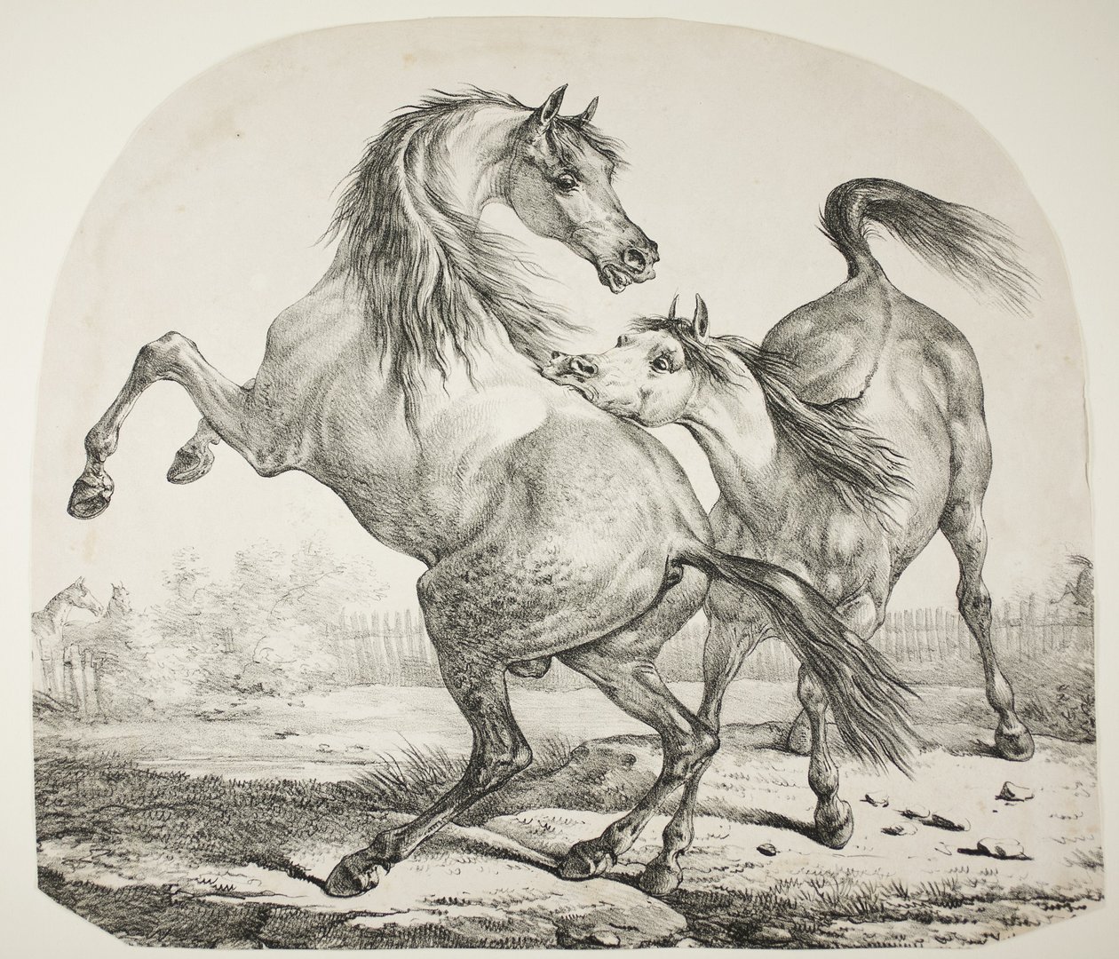 Cavalli selvaggi che combattono, c.1820 da Antoine Charles Horace Vernet