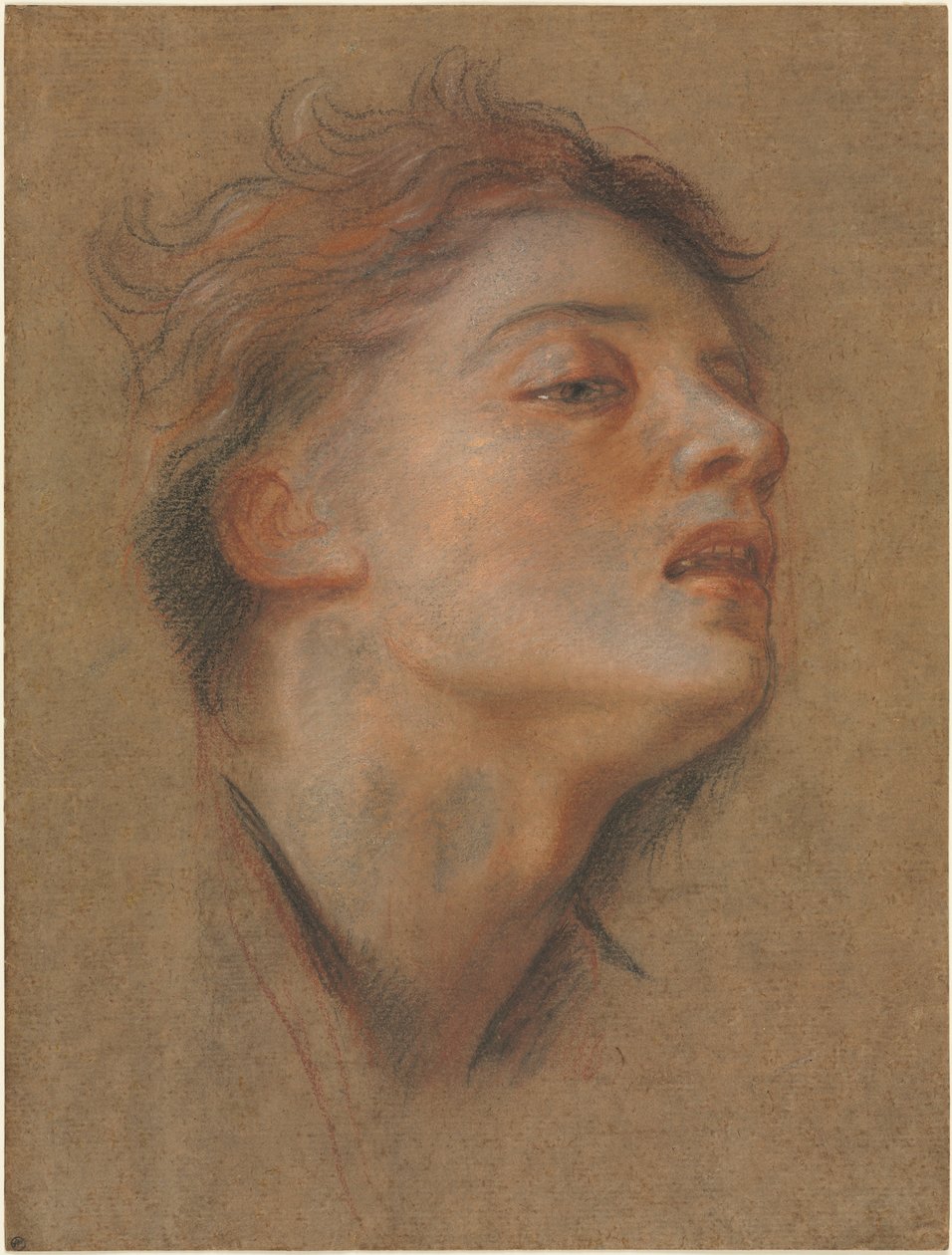 Testa di un giovane uomo, 1715-1717 da Antoine Coypel