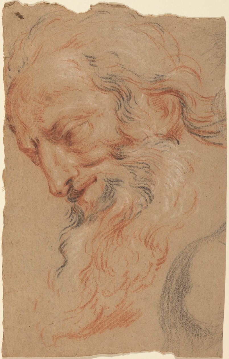 Testa di un vecchio da Antoine Coypel
