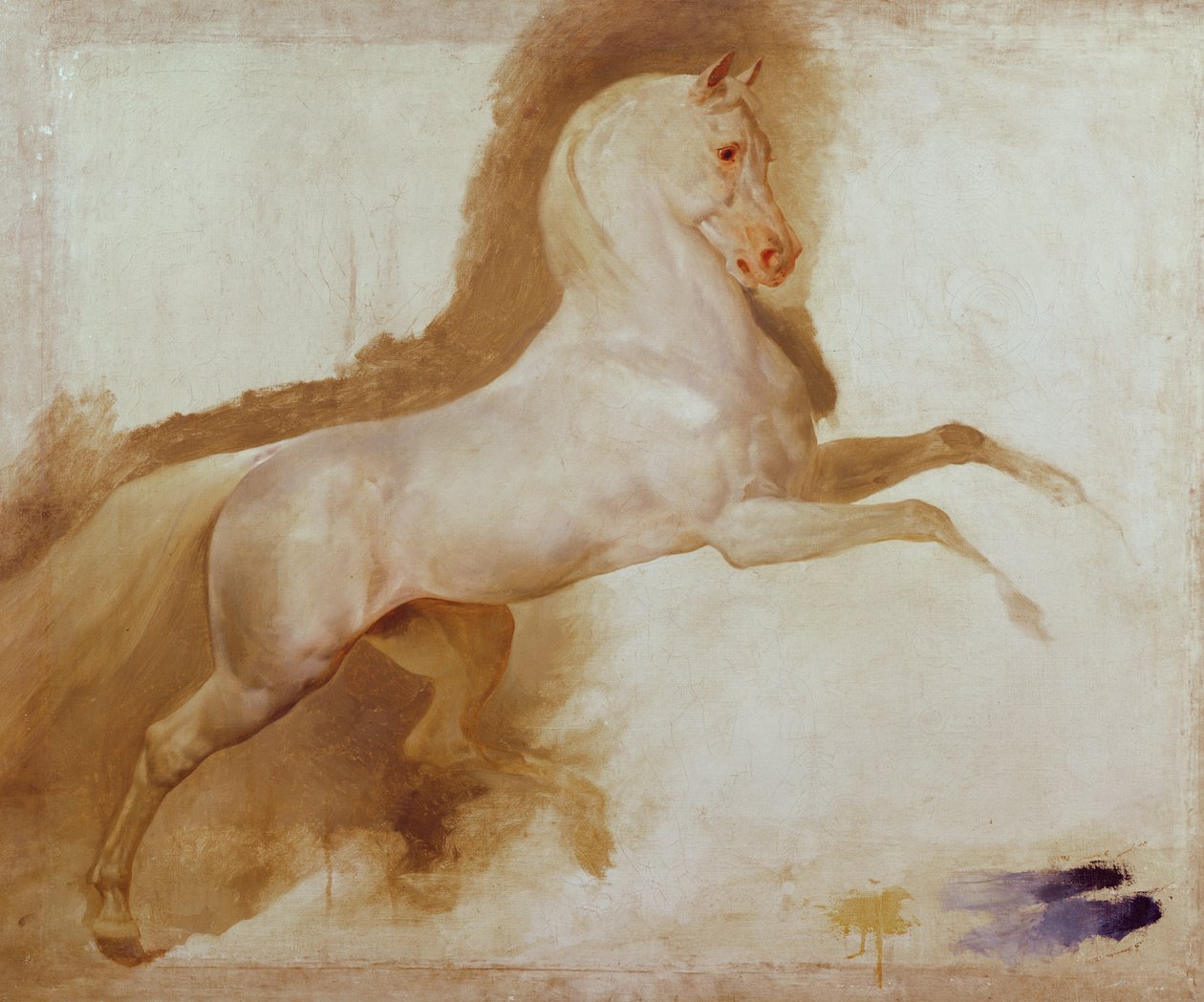 Cavallo di Joachim Murat, c. 1832 da Antoine Jean Gros