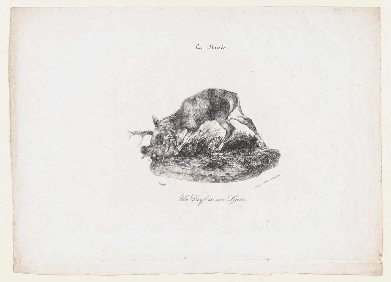 Un cervo e una lince, 1834 da Antoine Louis Barye