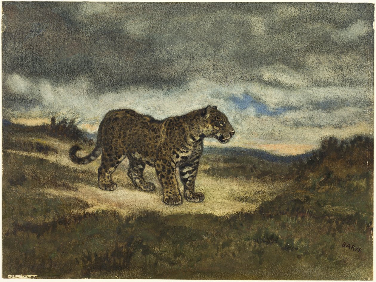 Giaguaro in piedi da Antoine Louis Barye