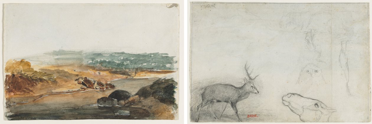 Paesaggio (recto); Studi di animali (verso) da Antoine Louis Barye