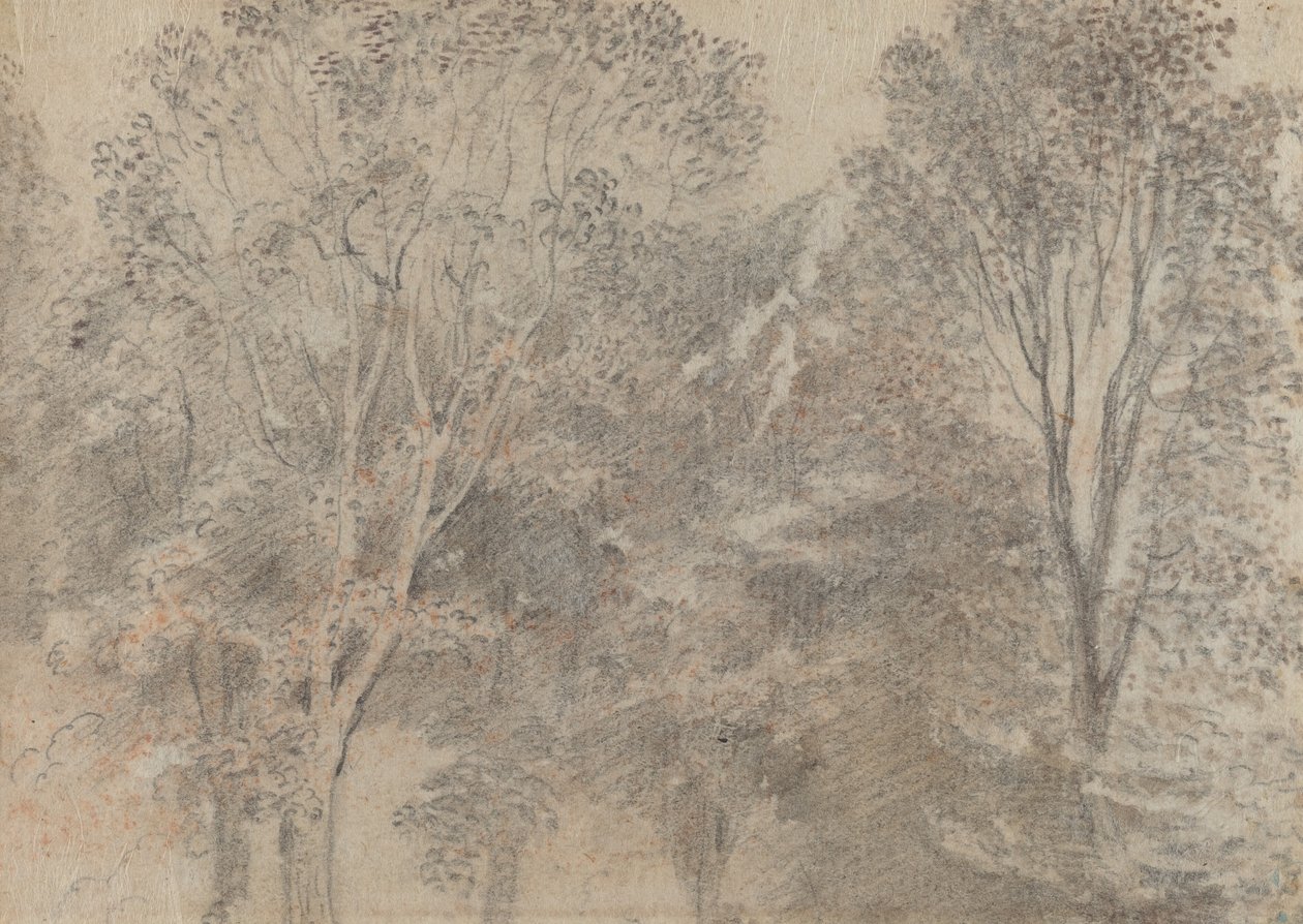 Cime degli alberi [verso] da Antoine Watteau