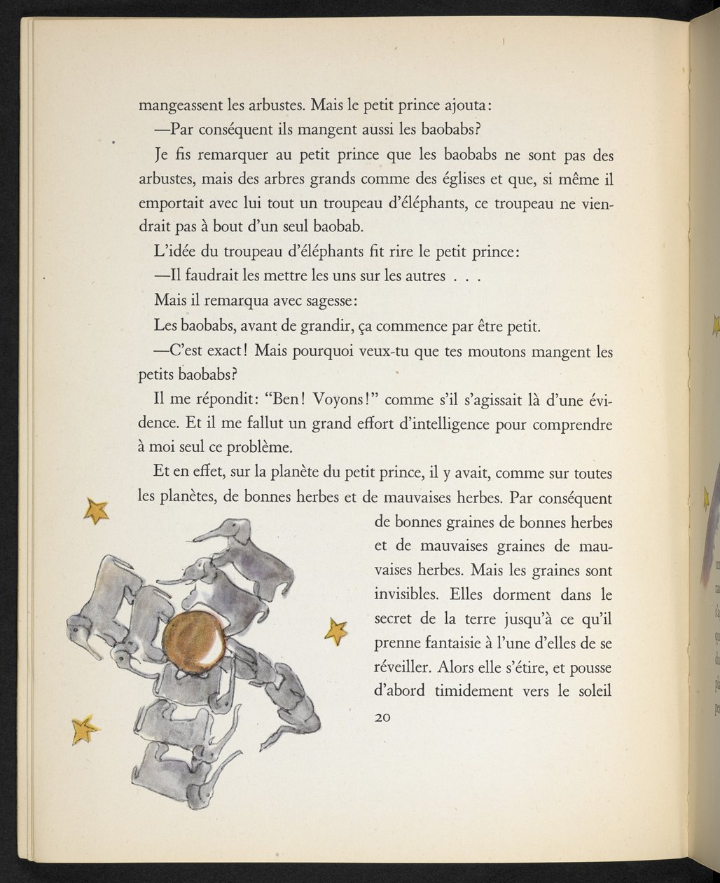 Elefanti, illustrazione da 