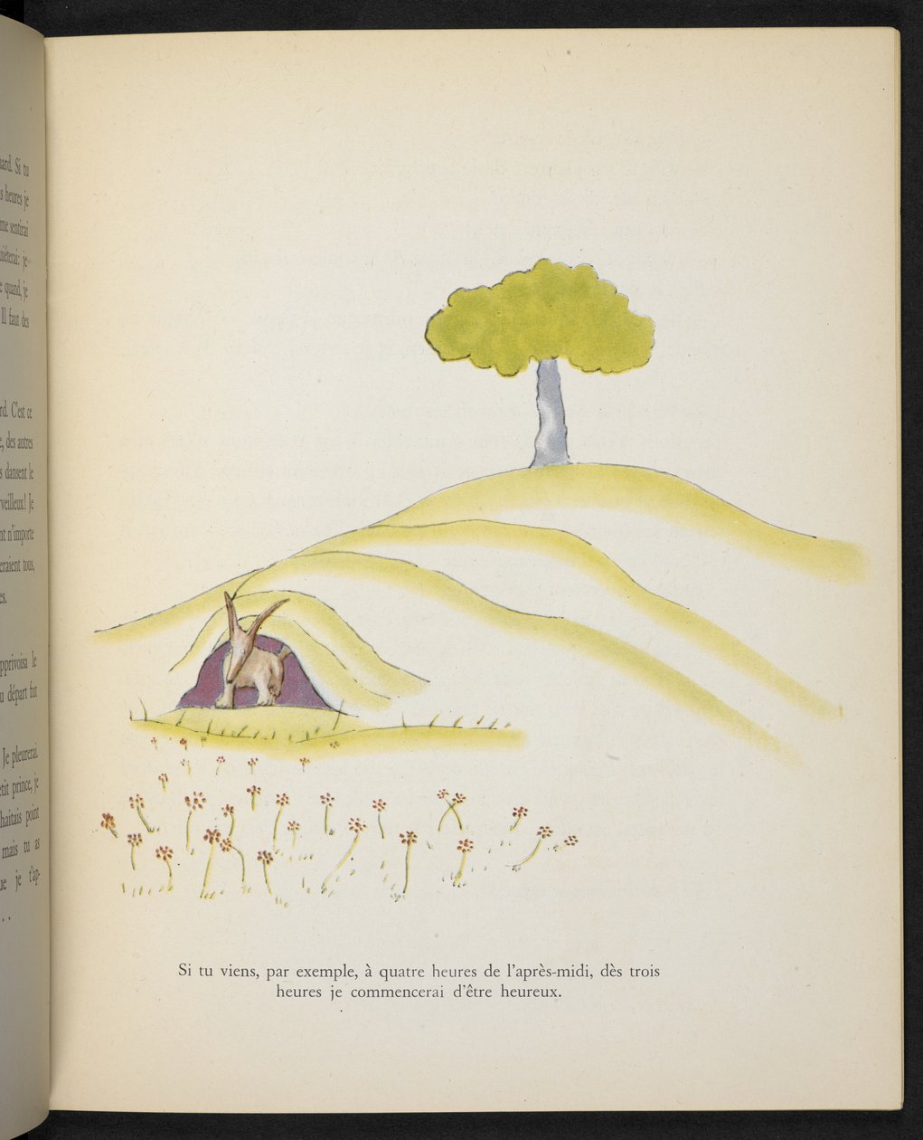 La Volpe, illustrazione da 
