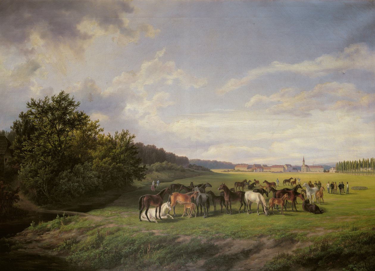 Veduta della Scuderia di Kladrub in Boemia, 1850 da Anton Schiffer