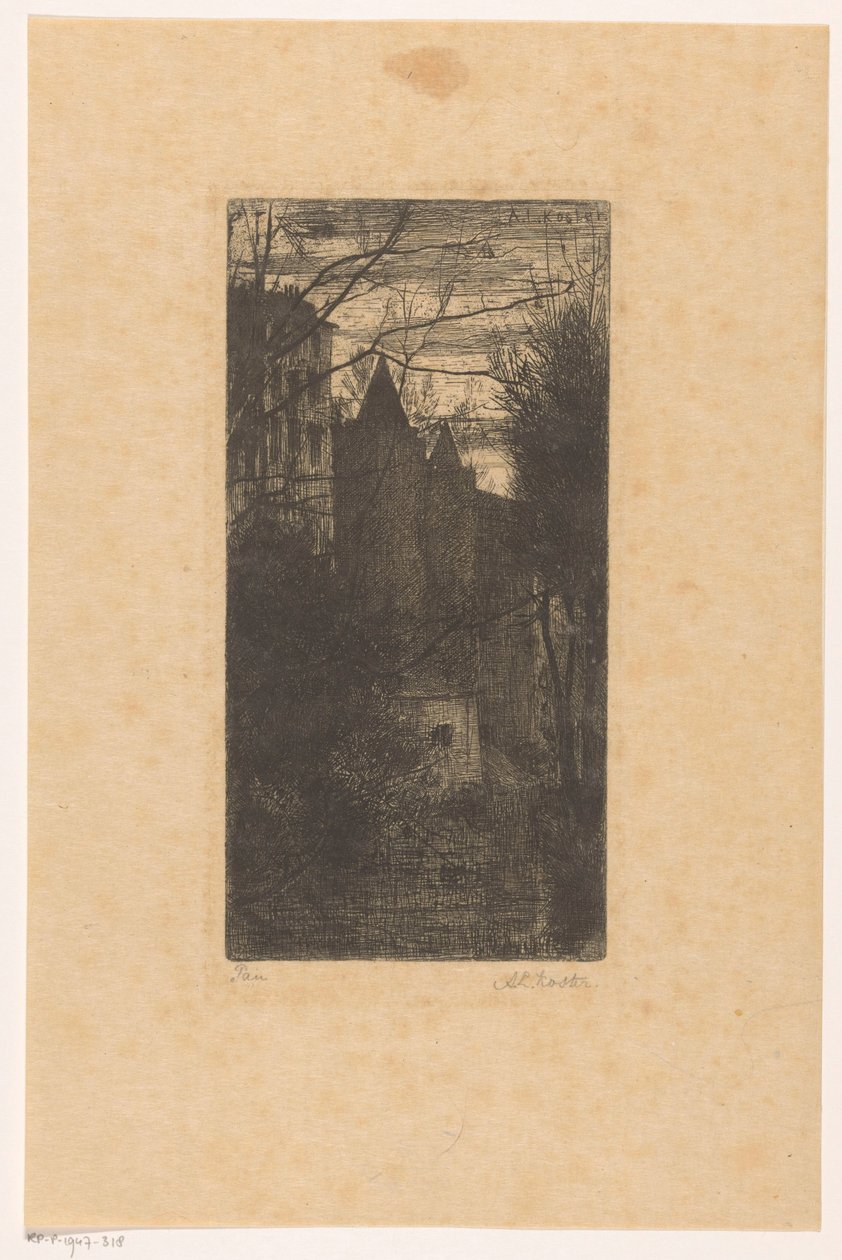 Castello di Pau al crepuscolo da Anton L. Koster (signed by artist)